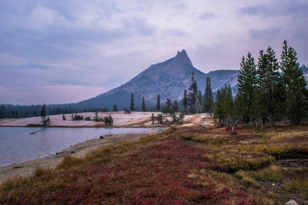 Church by Clare Kathleen Cornelius